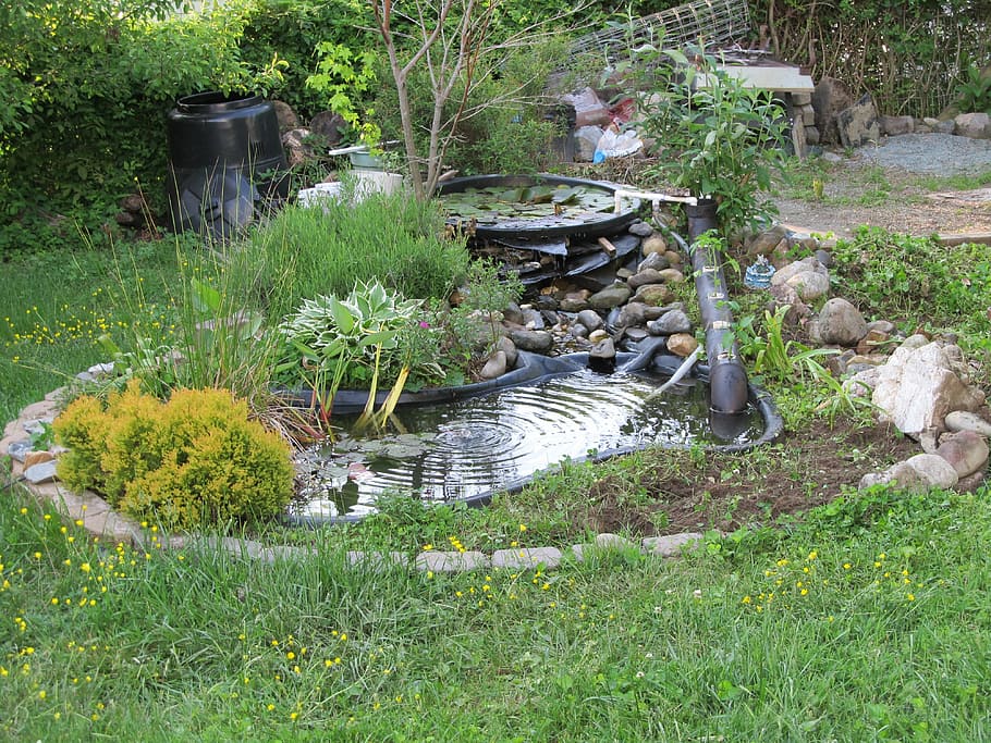 The Ultimate Guide To Building A Bog Filter For Your Pond Hardy Pond