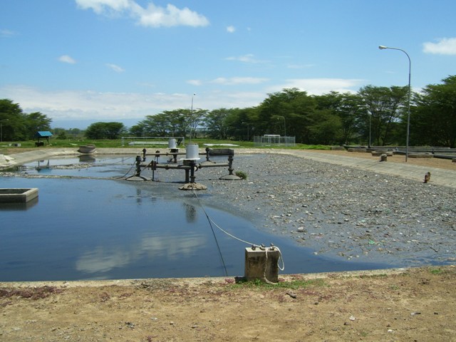 Vegetated constructed wetland treatment cells