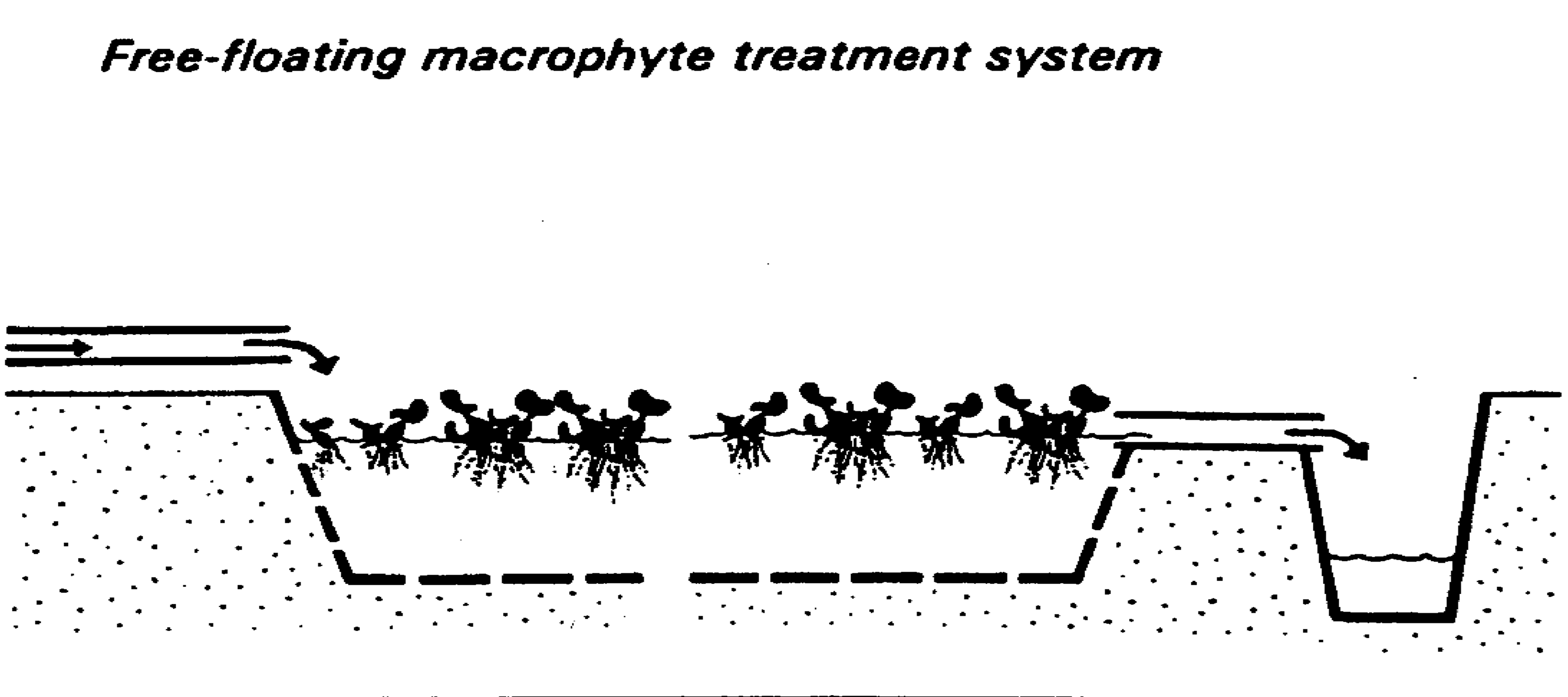 Original article diagram illustrating a constructed wetland treatment arrangement