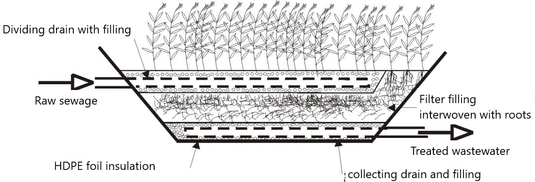 Original article diagram illustrating vertical flow through a constructed wetland filter bed